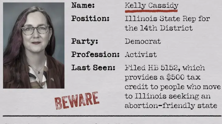 A New Level of Insanity from Illinois Democrats